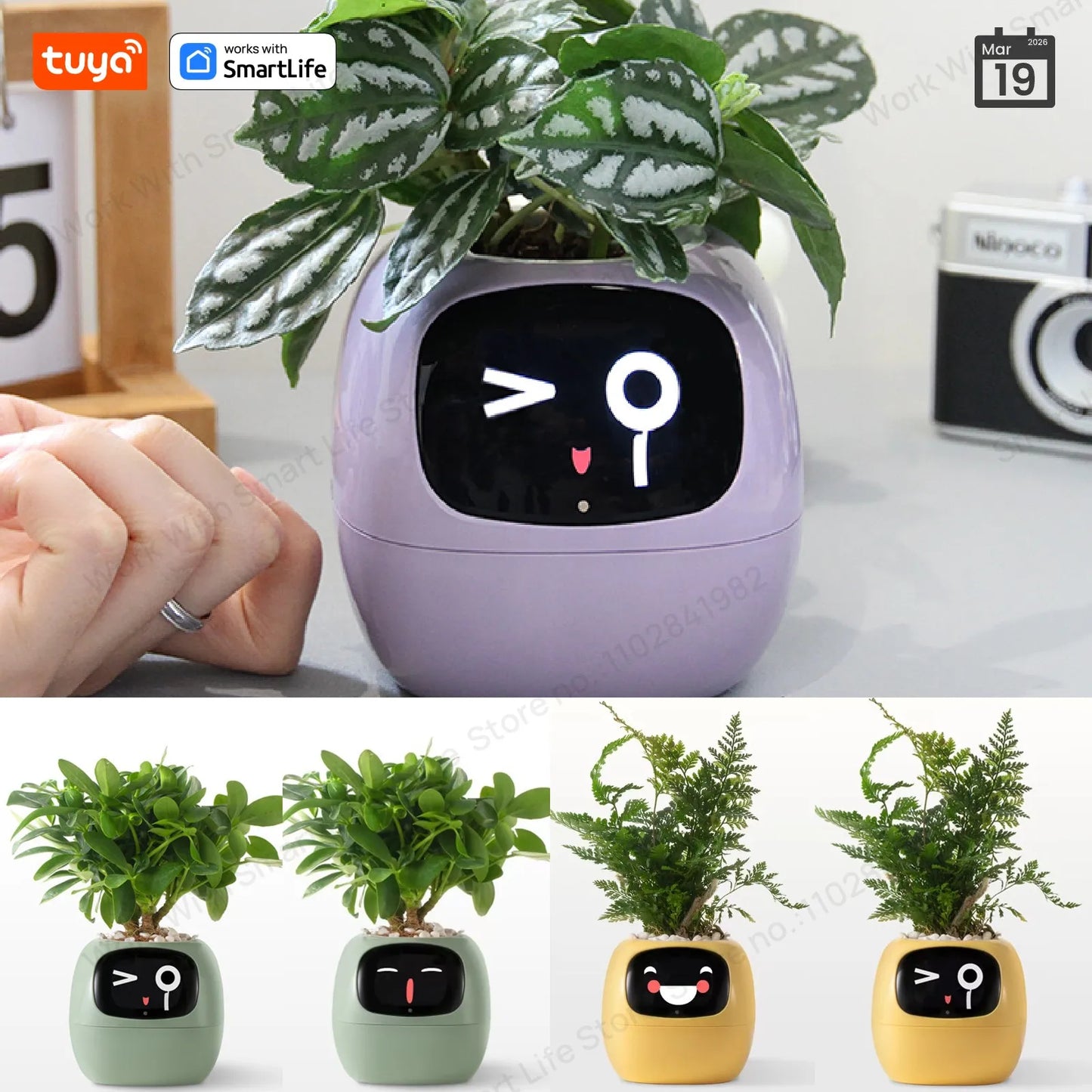 Maceta Robot Inteligente Ivy Plantsio Inteligente