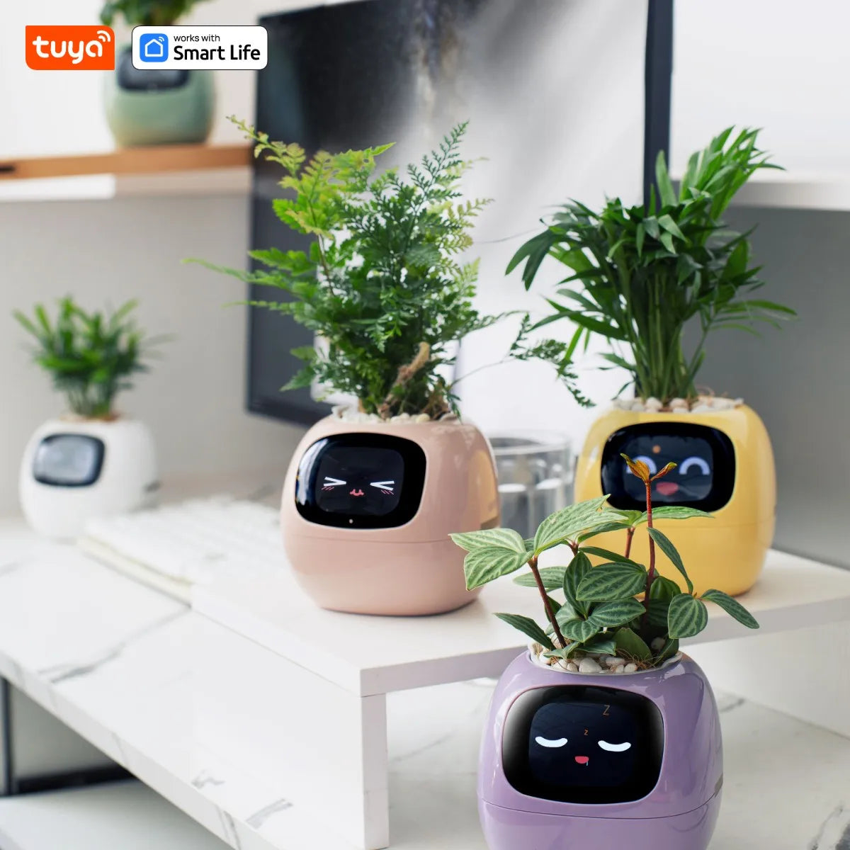 Maceta Robot Inteligente Ivy Plantsio Inteligente