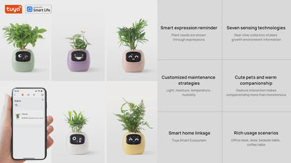 Maceta Robot Inteligente Ivy Plantsio Inteligente